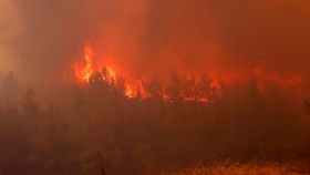 VIDEO Incendiile de vegetație din România sunt din ce în ce mai grave. Pompierii nu reușesc să facă față flăcărilor